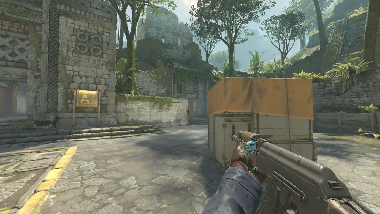 highlight